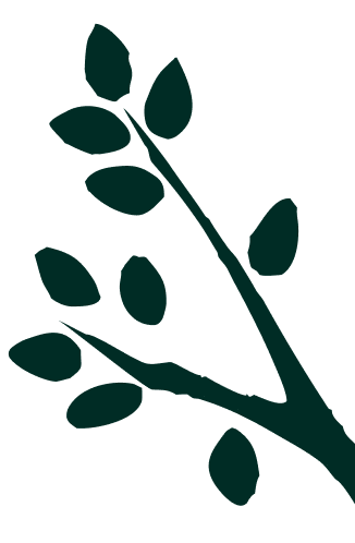Aspen-6